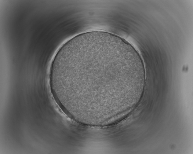 X0000097661104200803211914