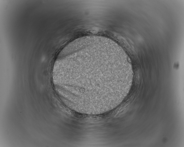 X0000097661105200803211913