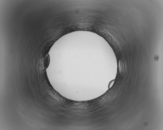 X0000097661107200803211913
