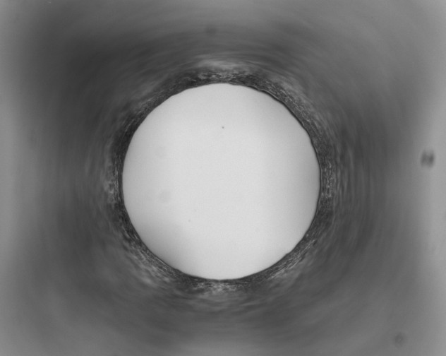 X0000097661109200803211913
