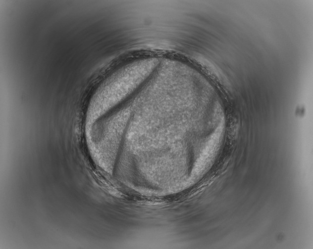 X0000097661110200803211913