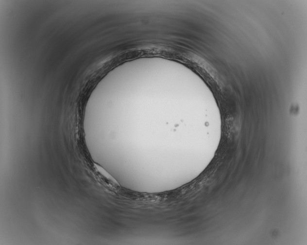 X0000097661111200803211913
