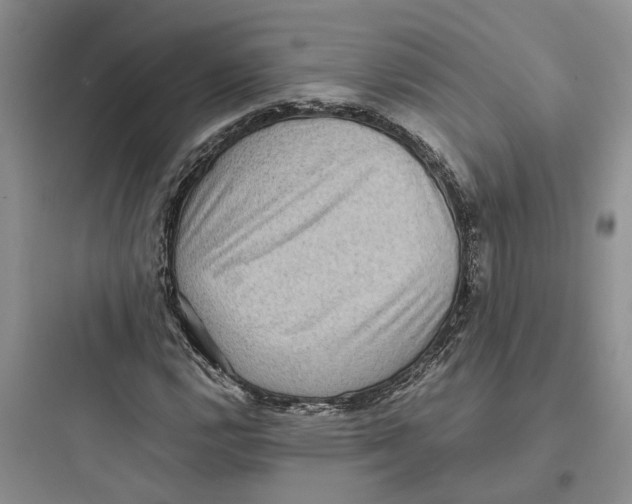 X0000097661112200803211913