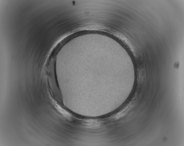 X0000097661114200803211913