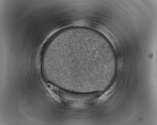 X0000097661115200803211913