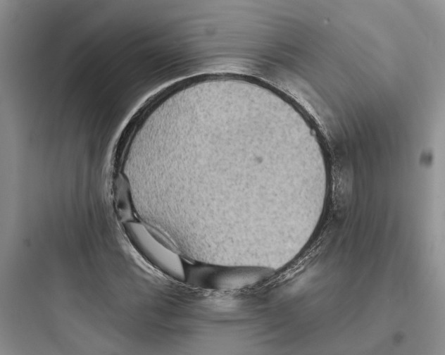 X0000097661116200803211913