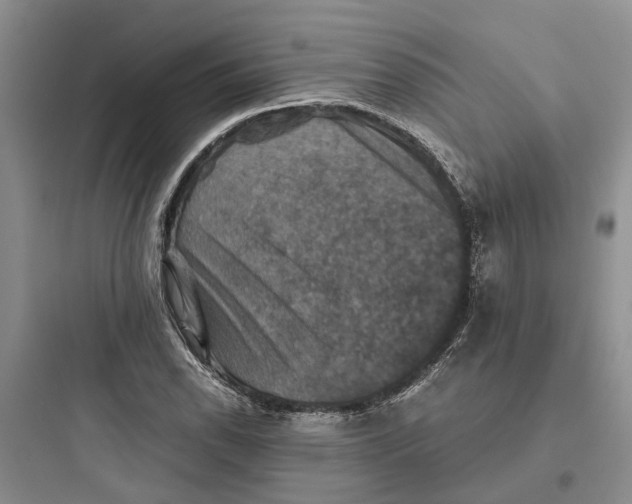 X0000097661118200803211913