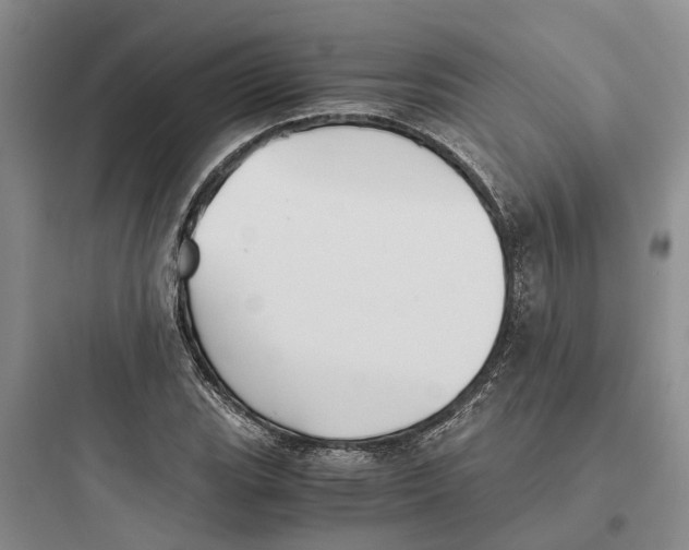 X0000097661119200803211913