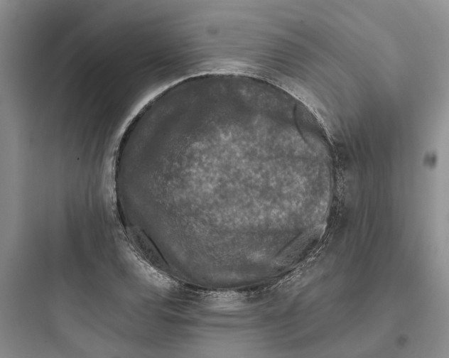 X0000097661120200803211913