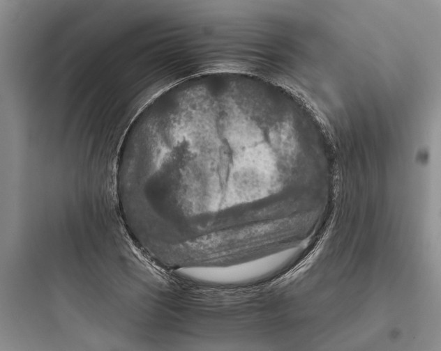 X0000097661121200803211913