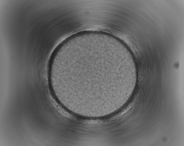 X0000097661122200803211913