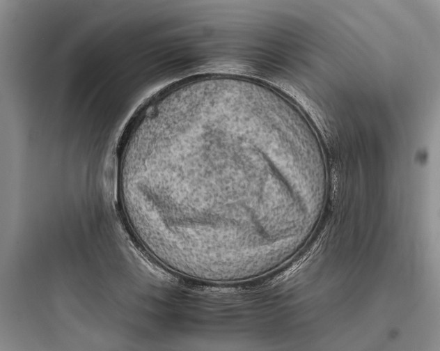 X0000097661123200803211913