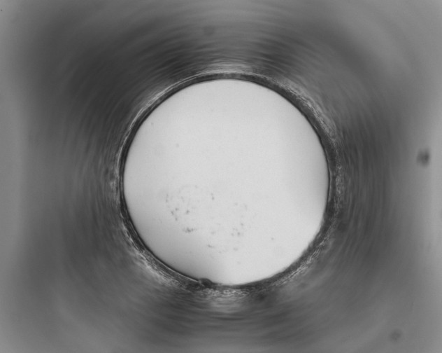 X0000097661129200803211913
