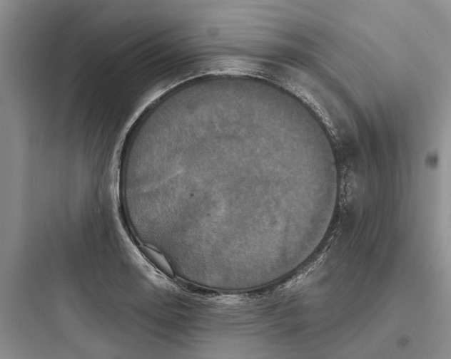 X0000097661130200803211913