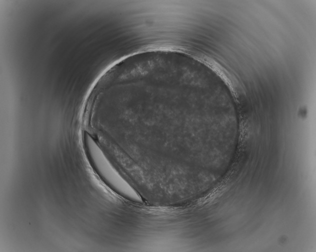 X0000097661132200803211913