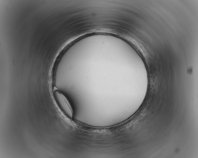 X0000097661133200803211913
