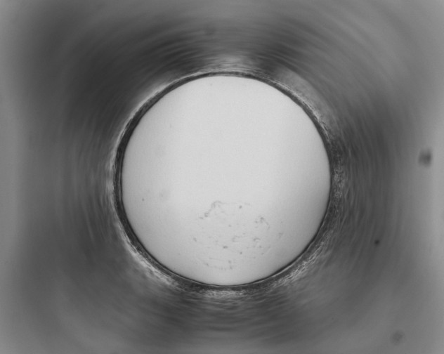 X0000097661135200803211913