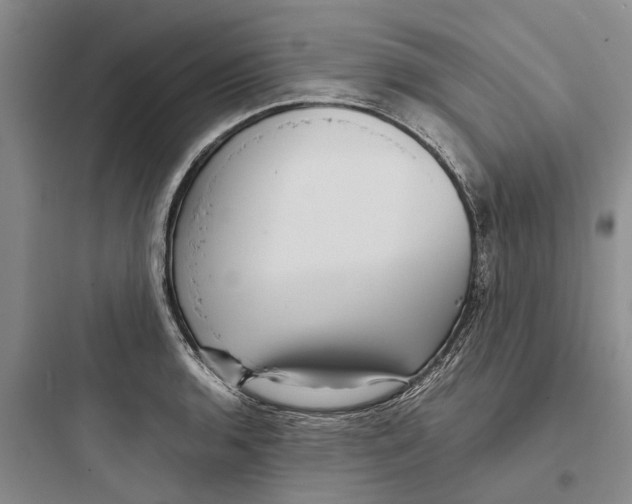 X0000097661136200803211913