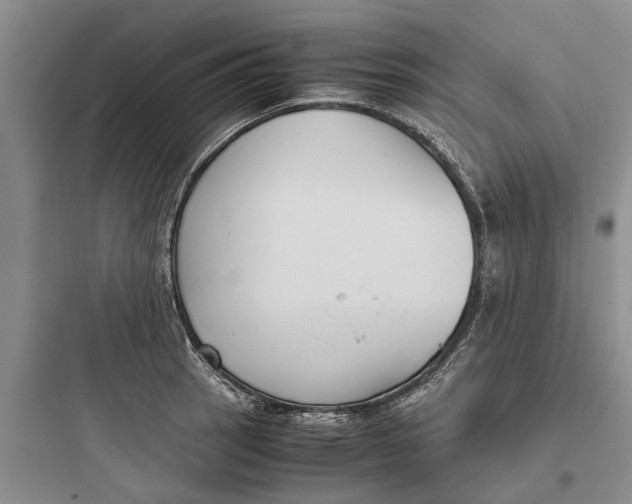 X0000097661137200803211913
