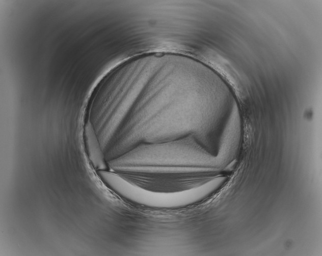 X0000097661138200803211913