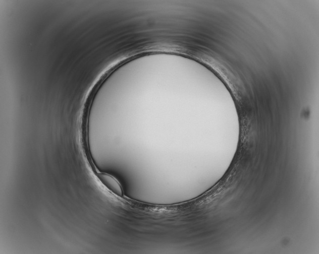 X0000097661139200803211913