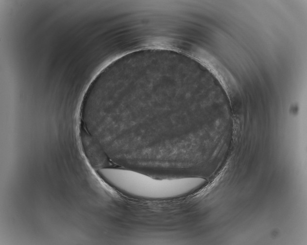 X0000097661141200803211913