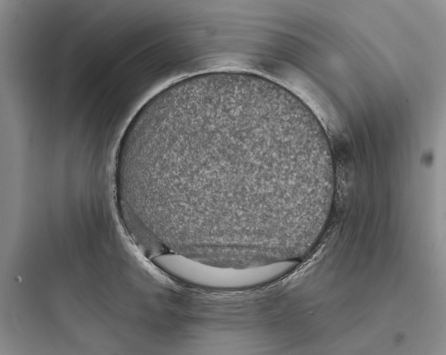 X0000097661142200803211913