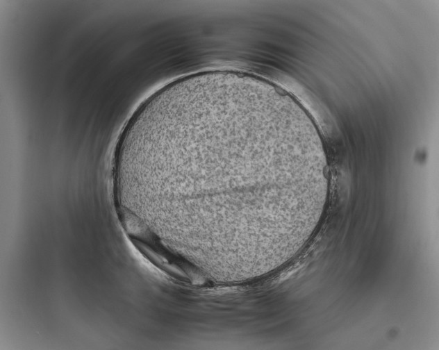 X0000097661143200803211913