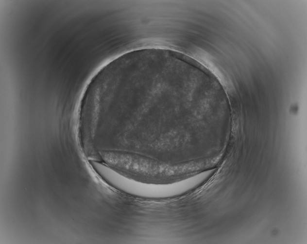 X0000097661144200803211913