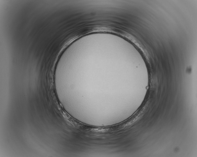 X0000097661145200803211913