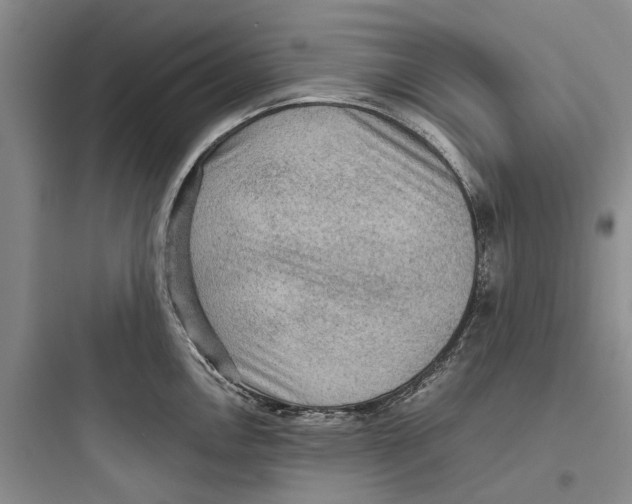X0000097661146200803211913