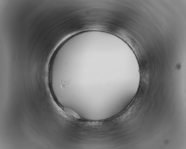 X0000097661147200803211913