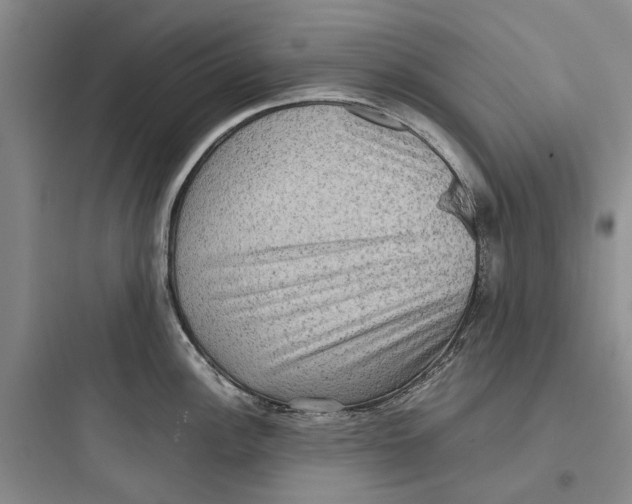X0000097661148200803211914