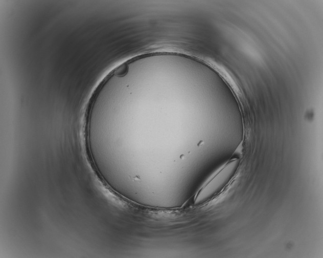 X0000097661149200803211914