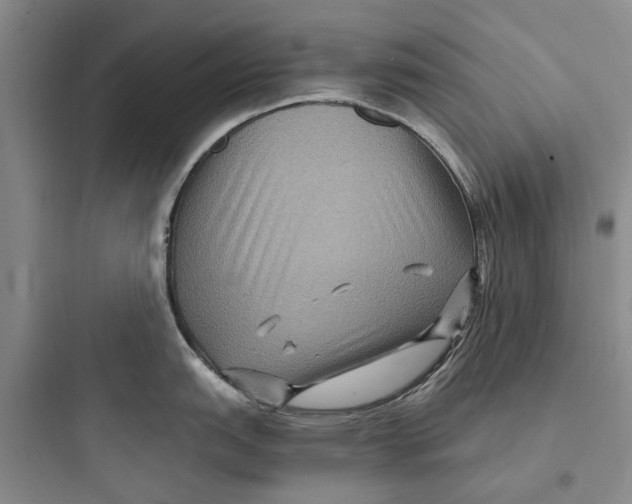 X0000097661151200803211914