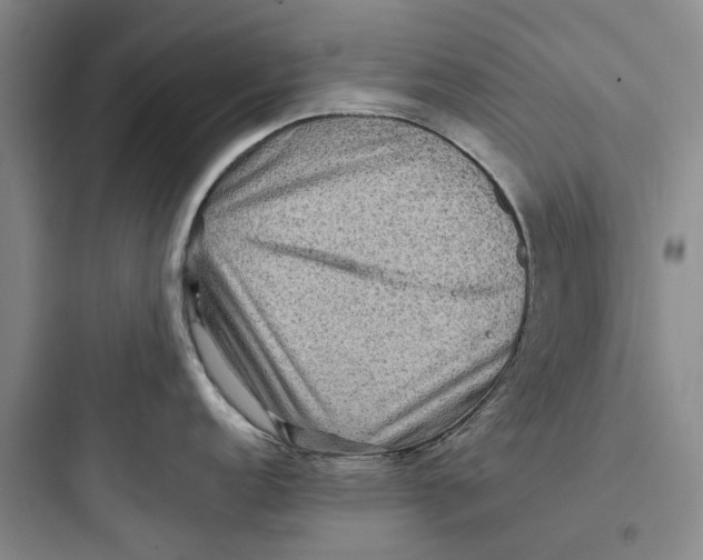 X0000097661152200803211914
