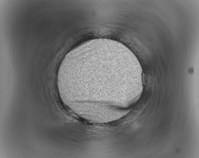 X0000097661153200803211913