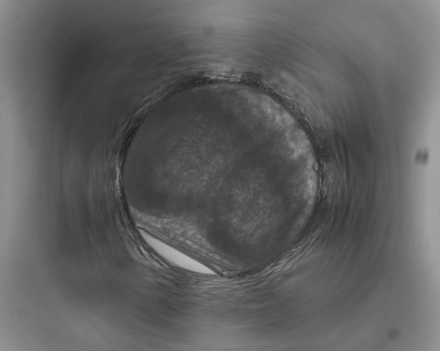 X0000097661154200803211913