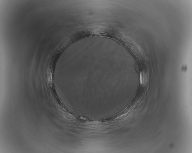 X0000097661155200803211913