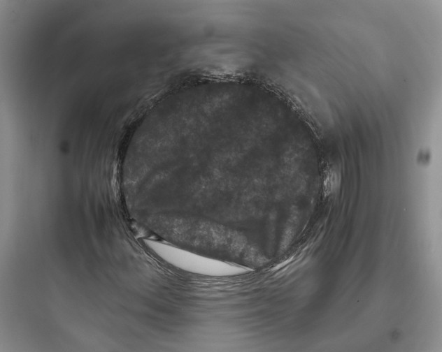 X0000097661156200803211913