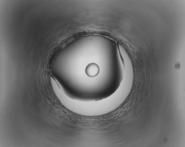 X0000097661157200803211913