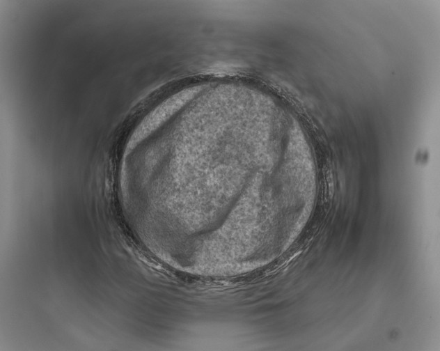 X0000097661158200803211913