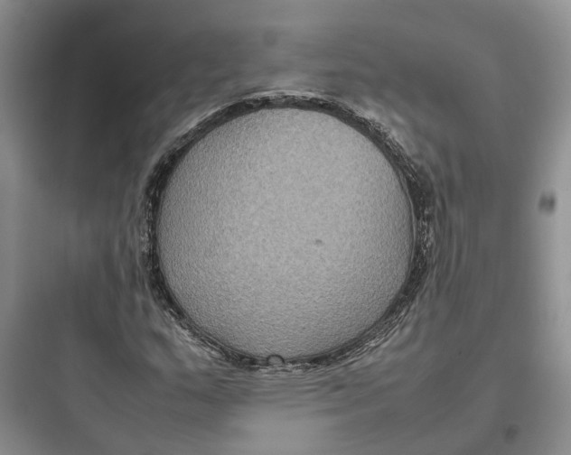X0000097661159200803211913