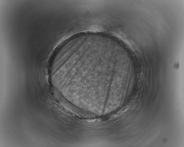 X0000097661160200803211913