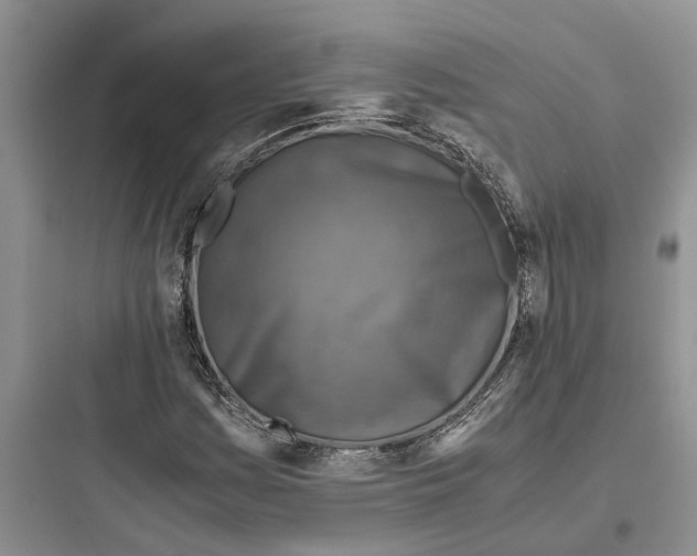 X0000097661161200803211913