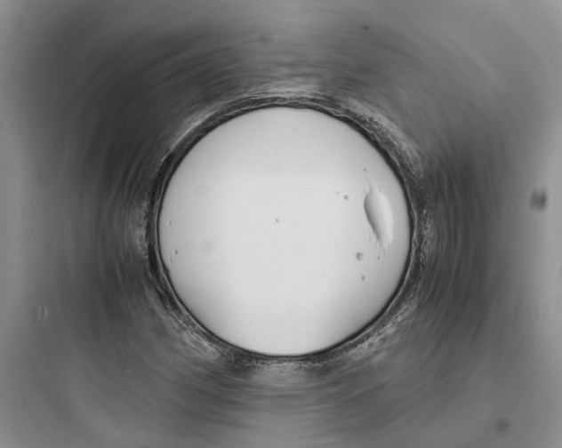 X0000097661162200803211913