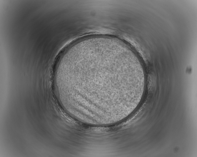 X0000097661163200803211913