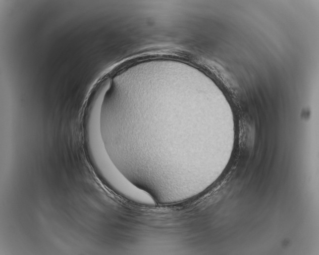 X0000097661164200803211913