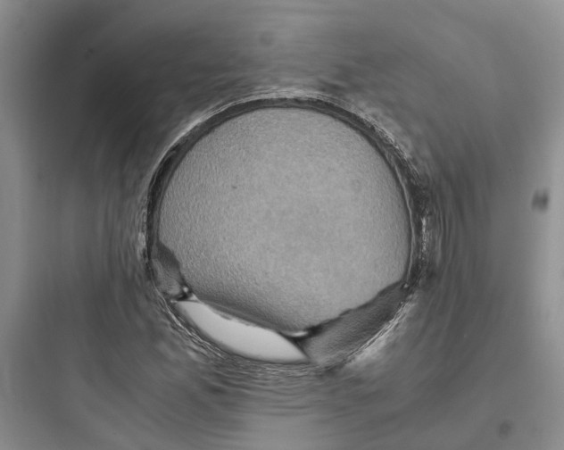 X0000097661165200803211913