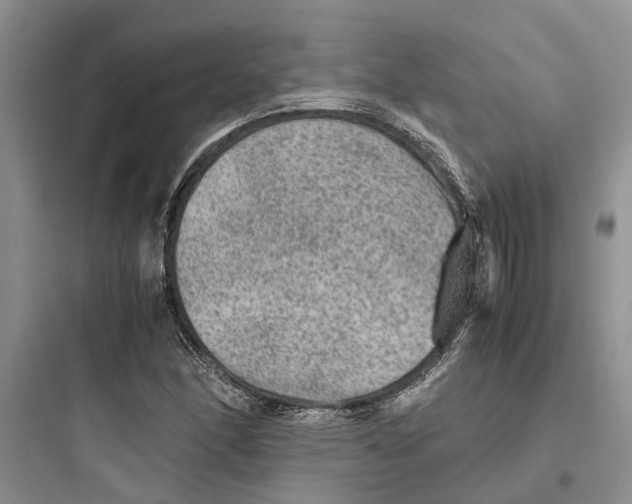 X0000097661166200803211913